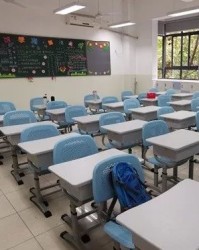  纽卡斯尔逆袭崛起冲击欧战资格区  