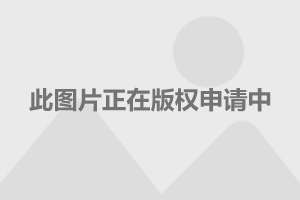  意甲金靴争夺进入白热化阶段  